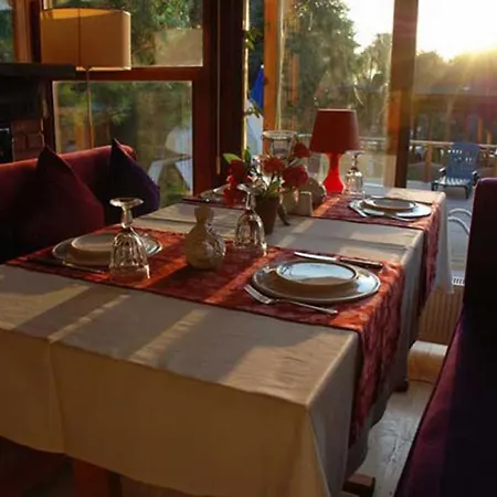 Treetops Park Ağva