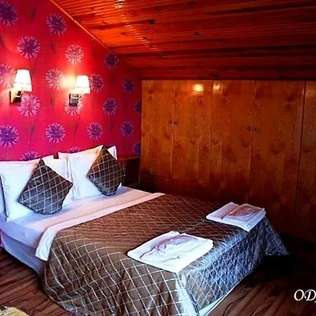 Treetops Park Ağva