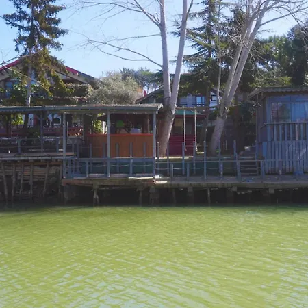 Treetops Park ホテル Ağva