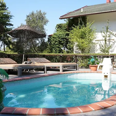 מלון Treetops Park