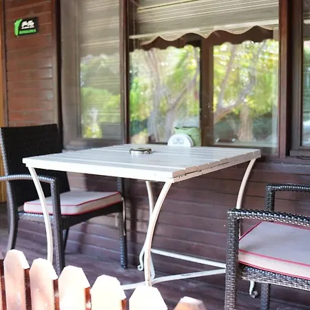 Treetops Park מלון *